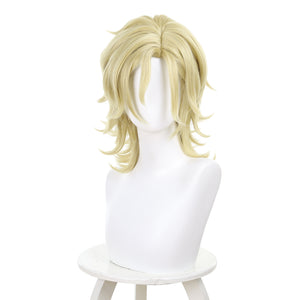 Rulercosplay Anime Twilight Out of Focus Ōtomo Hisashi Cosplay Wig For Party 576H