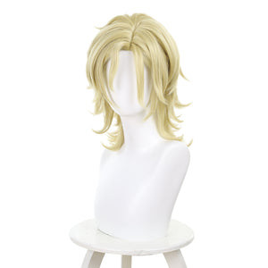 Rulercosplay Anime Twilight Out of Focus Ōtomo Hisashi Cosplay Wig For Party 576H