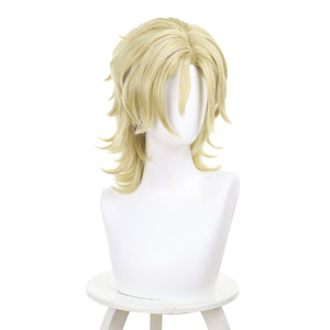 Rulercosplay Anime Twilight Out of Focus Ōtomo Hisashi Cosplay Wig For Party 576H