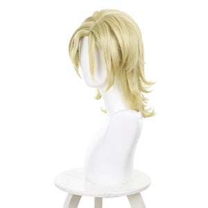 Rulercosplay Anime Twilight Out of Focus Ōtomo Hisashi Cosplay Wig For Party 576H