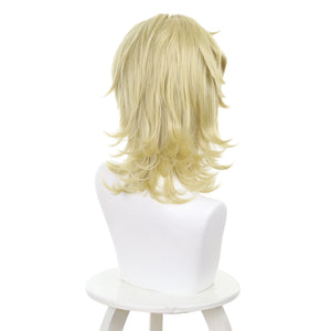 Rulercosplay Anime Twilight Out of Focus Ōtomo Hisashi Cosplay Wig For Party 576H