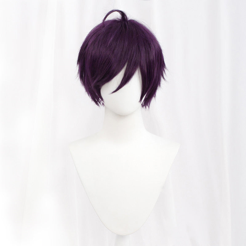 Rulercosplay All Purpose Wig Hair Style Straight Hair 30CM With Multicolor For Party Cosplay Wig