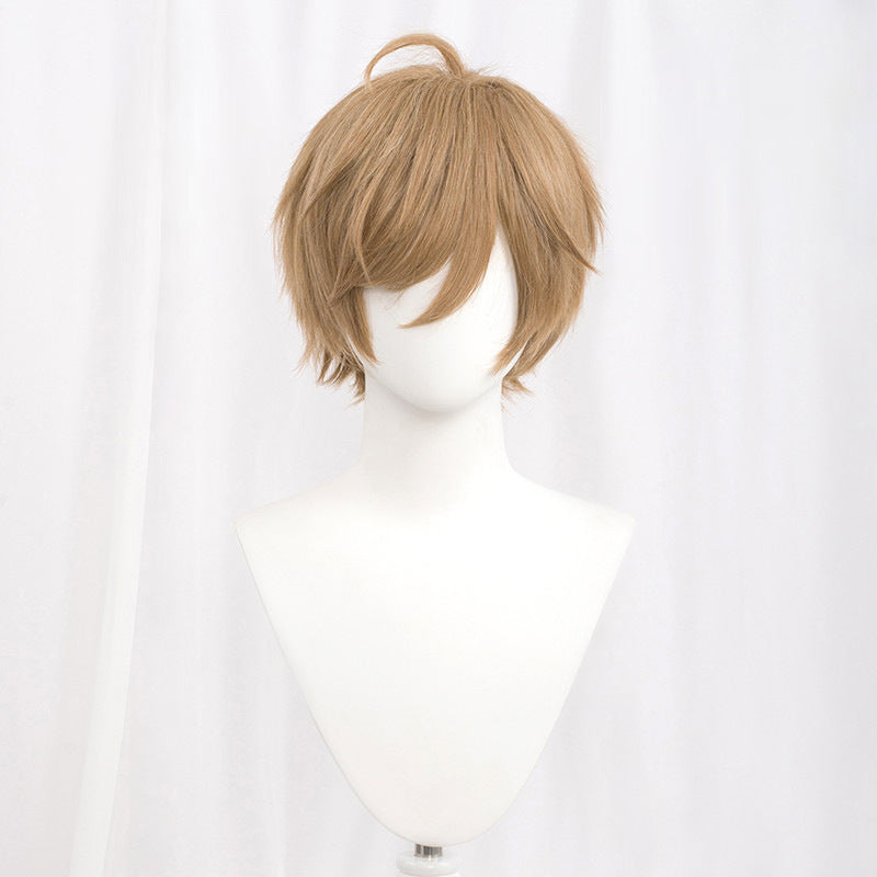 Rulercosplay All Purpose Wig Hair Style Straight Hair 30CM With Multicolor For Party Cosplay Wig