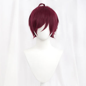 Rulercosplay All Purpose Wig Hair Style Straight Hair 30CM With Multicolor For Party Cosplay Wig